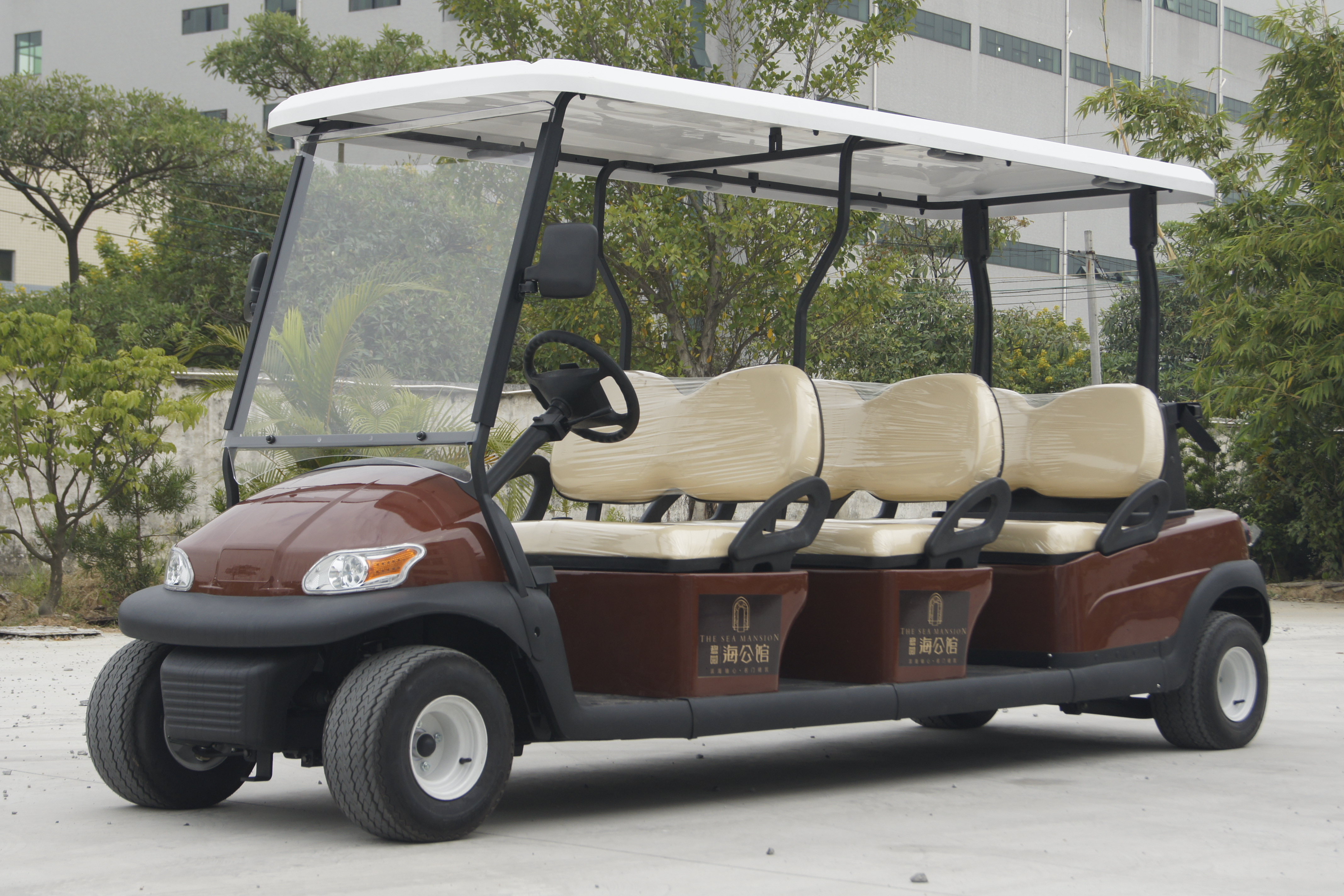 6座電動會所車